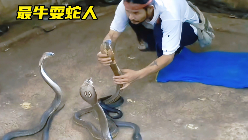 北上家家有本难念的经,澳门管家婆资料在线免费,动态词语解释落实_VR版V14.80
